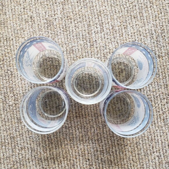 Vintage Apollo 11 1969 Man on the Moon Vintage Glasses NASA Space Program - Picture 9 of 10